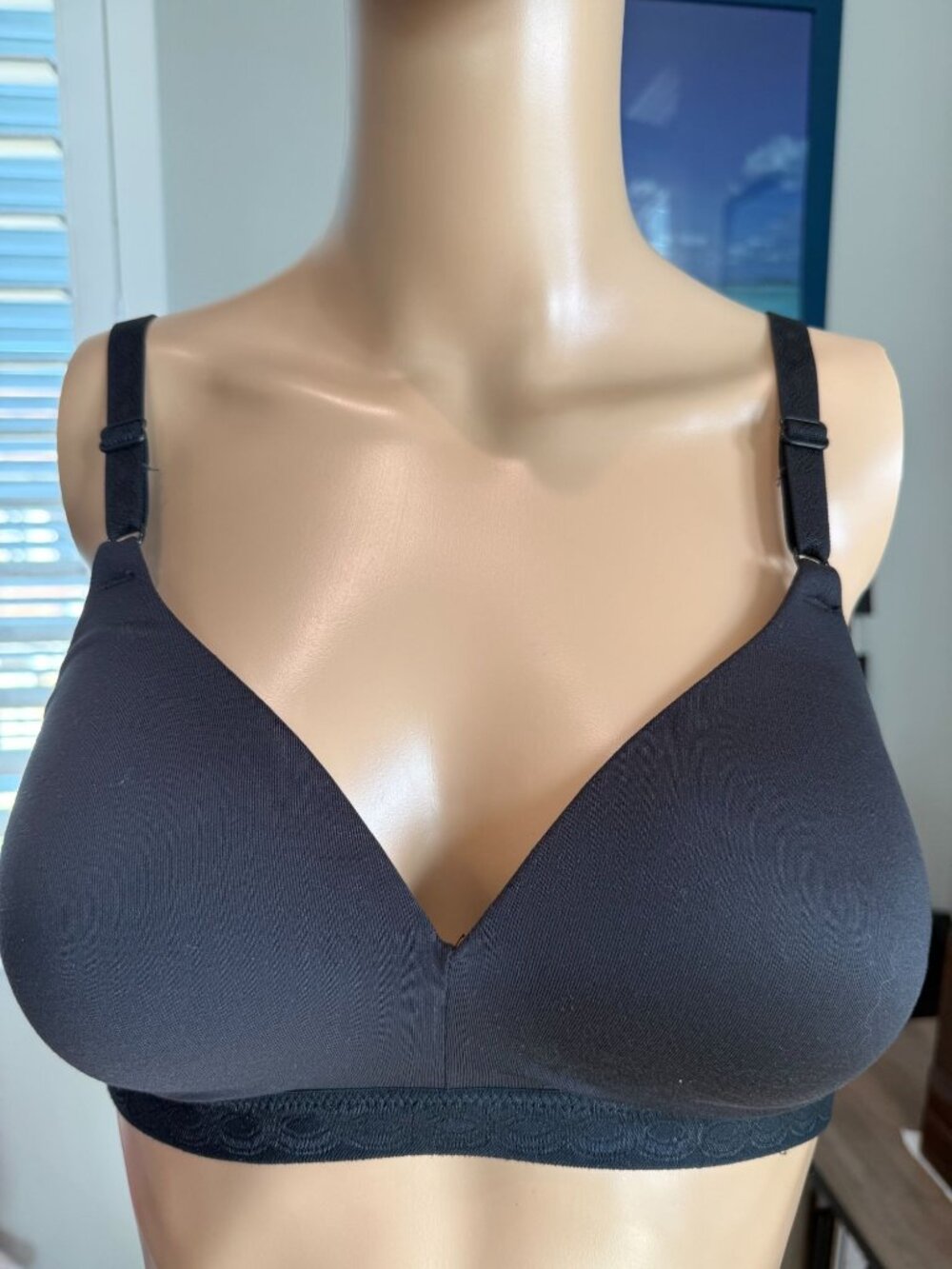 Warner's Simply Perfect Super Soft Wireless Bra, 36A